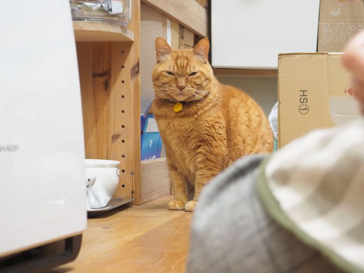 浅草革小物Kanmi.