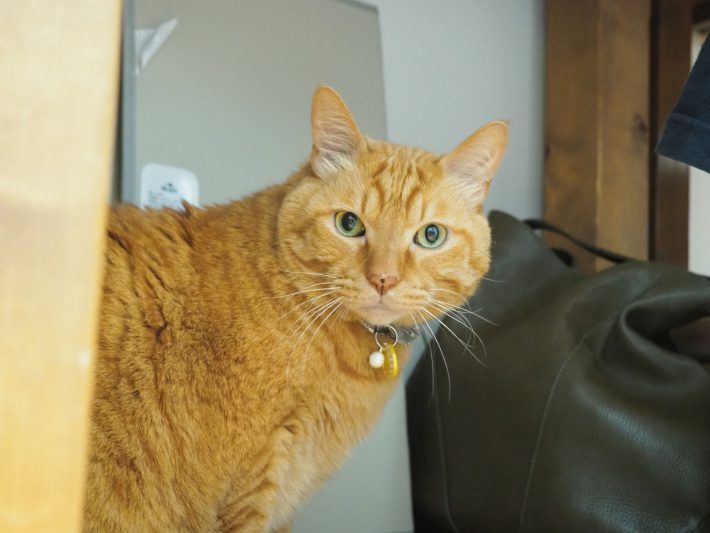 浅草革小物Kanmi.