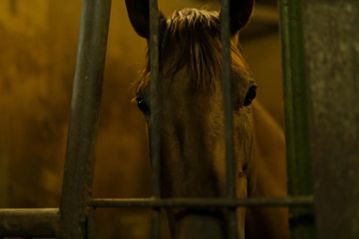 親子三代勧誘沼202310