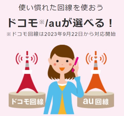 ドコモau選べる