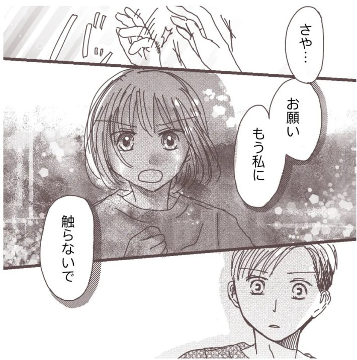 樋口みみ『私に触れないで』