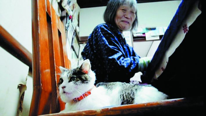 『東京夫婦善哉』より