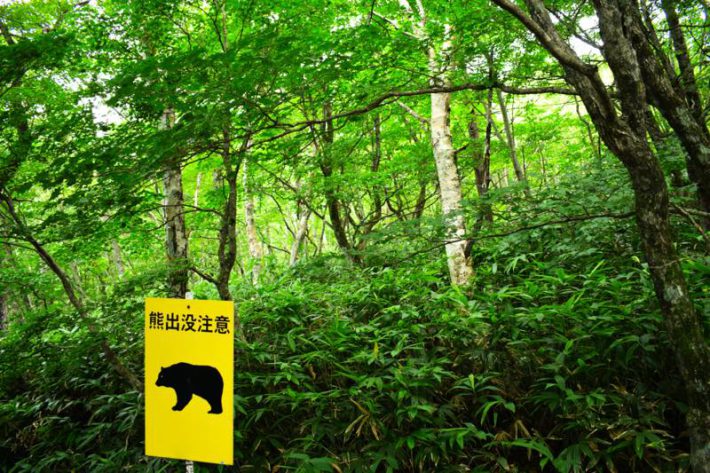 ペット自然派202312