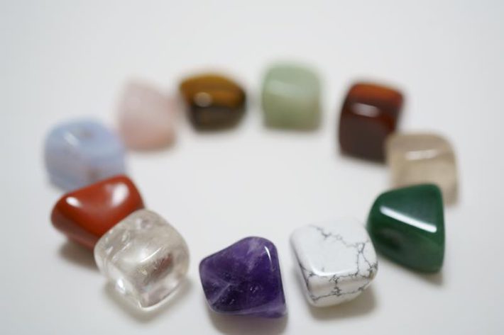 ペット自然派202312