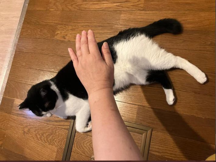 ペット自然派202312