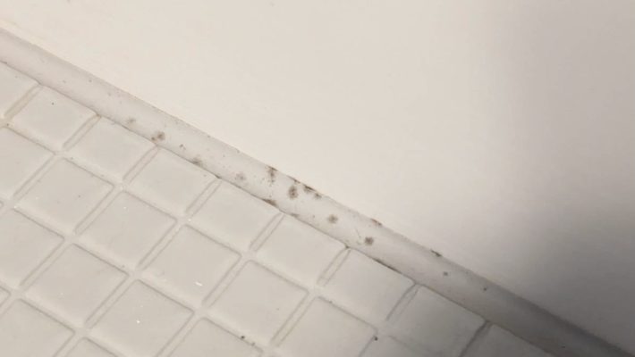 パッキン部分のカビ