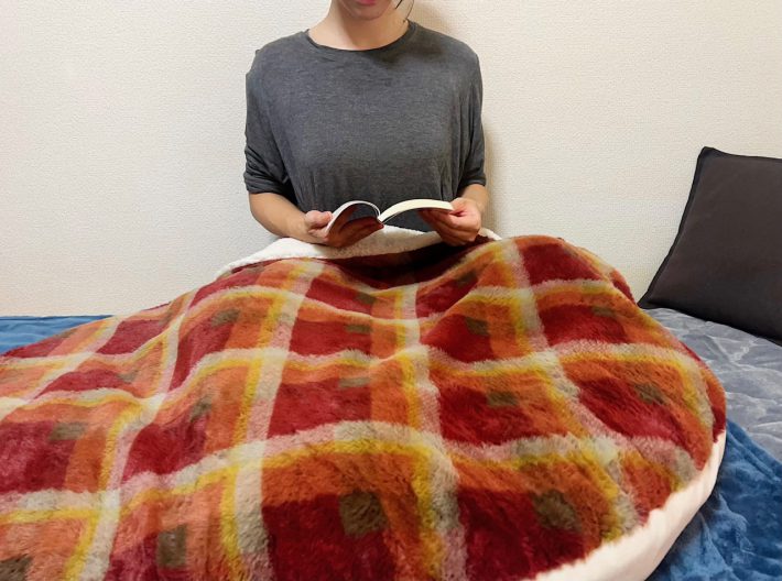 ニトリ「入れるクッション」