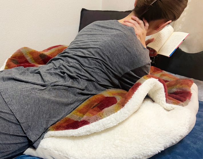 ニトリ「入れるクッション」