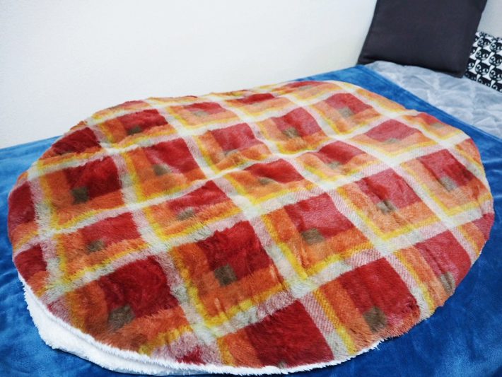 ニトリ「入れるクッション」