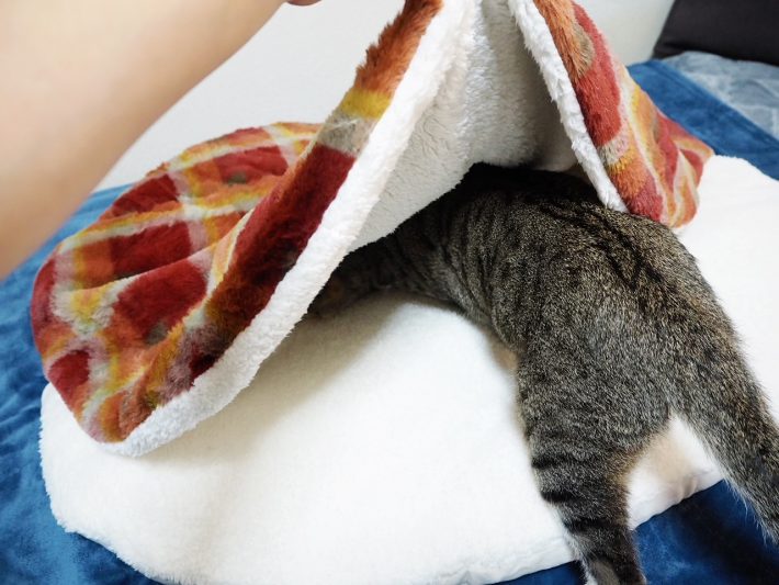 ニトリ「入れるクッション」