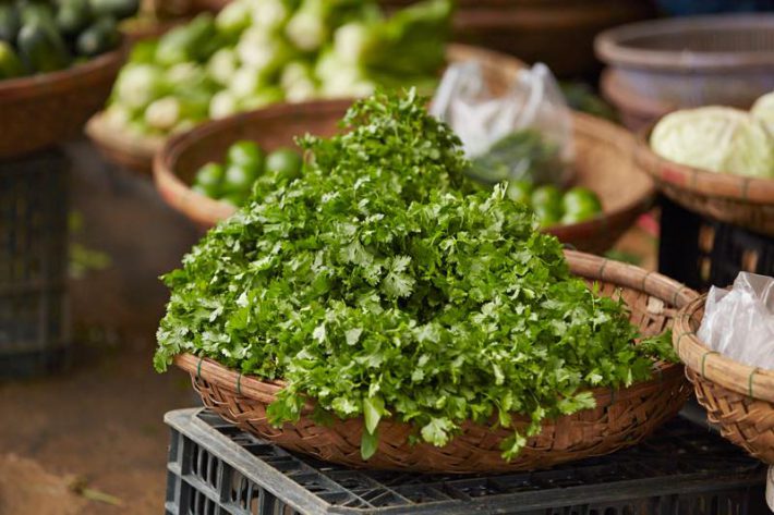 絵本作家のぶみ202401