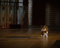 『光る君へ』（C）NHK