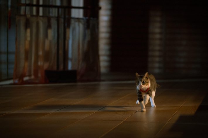 『光る君へ』（C）NHK