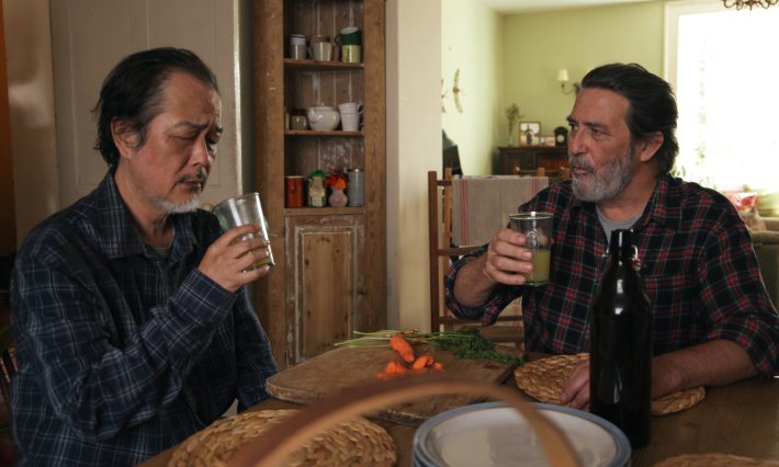 『コットンテール』