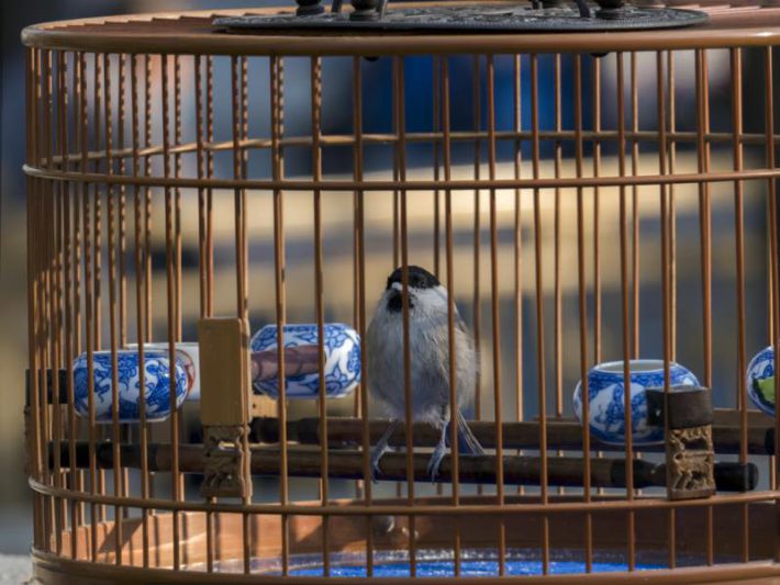 地方40代独身女性202403