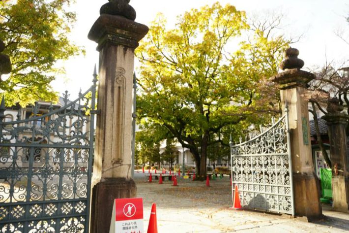 家族がマルチオイル沼202403