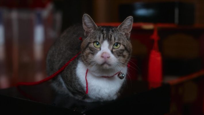 『光る君へ』9話（C）NHK