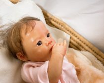 リボーンドール