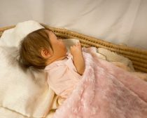 リボーンドール