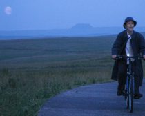 『コットンテール』より