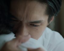 『コットンテール』より