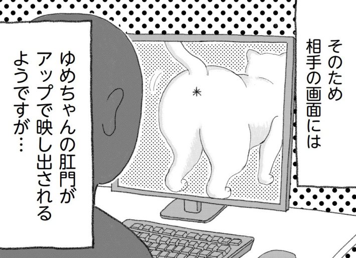 『描描猫猫～猫アレルギーだけど猫飼いたすぎ物語～』