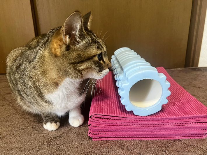 ダイソー「ボディローラー」