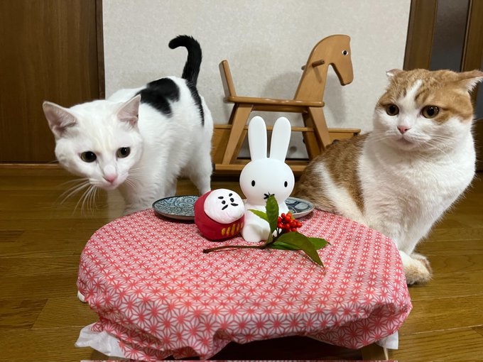 特別なおやつを貰える時も仲良く待機