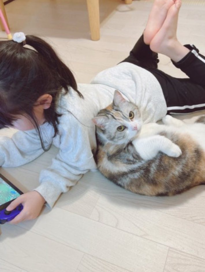 シャロンちゃん