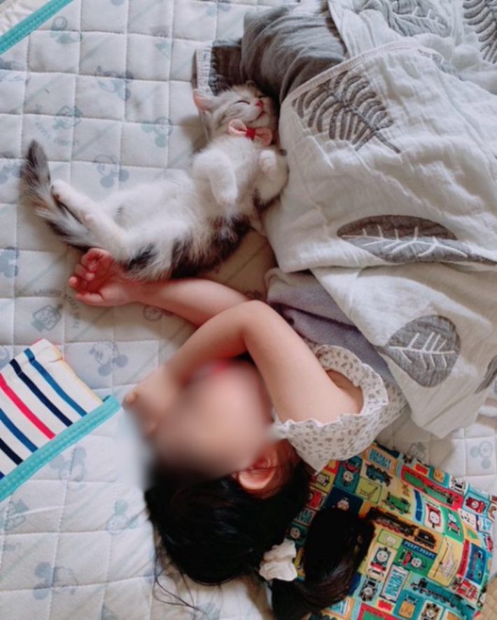 シャロンちゃん