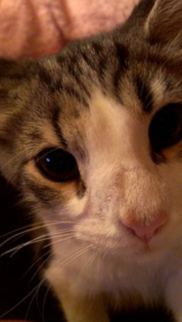 ティファちゃん