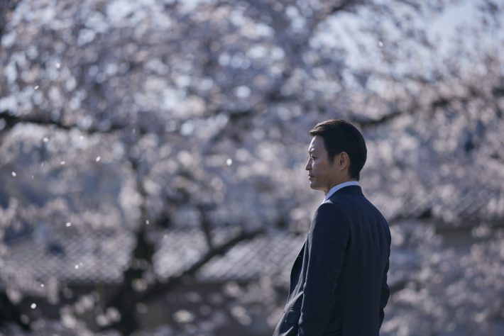 『朽ちないサクラ』