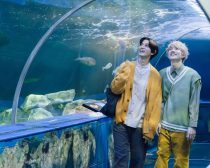 『アキはハルとごはんを食べたい 2杯目！』