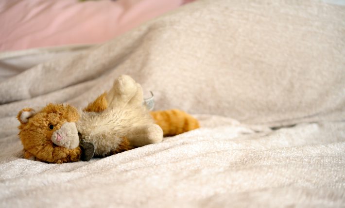 ボロボロのぬいぐるみ