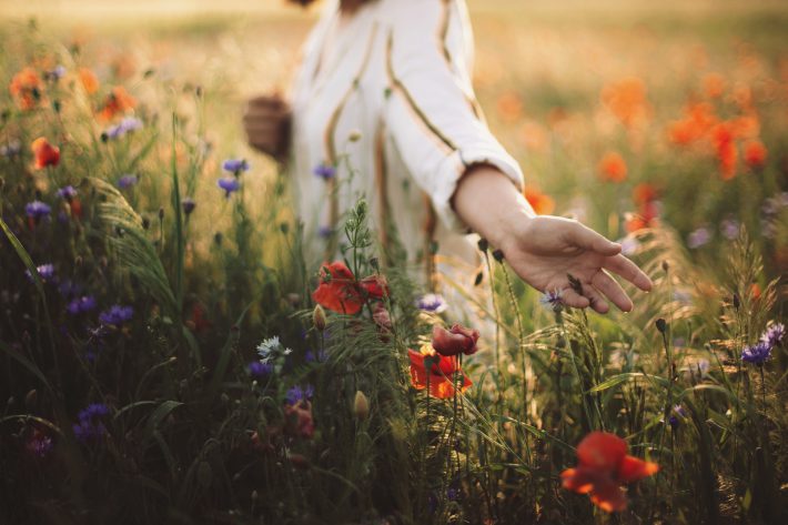 Woman in rustic dress gathering poppy