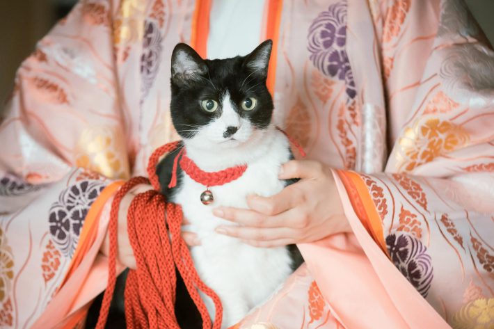 NHK『光る君へ』第27回