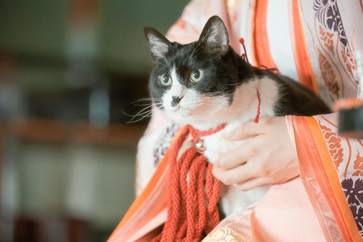 NHK『光る君へ』第27回