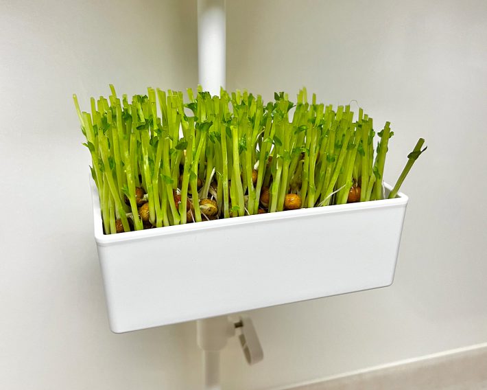 実はカット部分を間違えると、なかなか再生しない