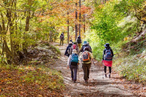 鮮やかな紅葉の登山道
