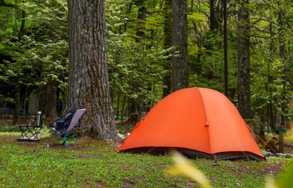 キャンプ場