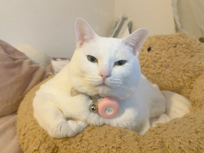 衝撃のマッチョ写真