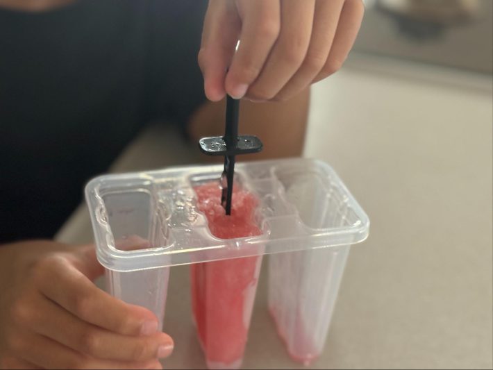 プラスチック製のアイスバーの型を使っていたとき