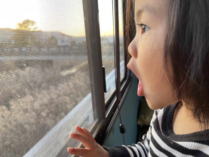 娘のことちゃん