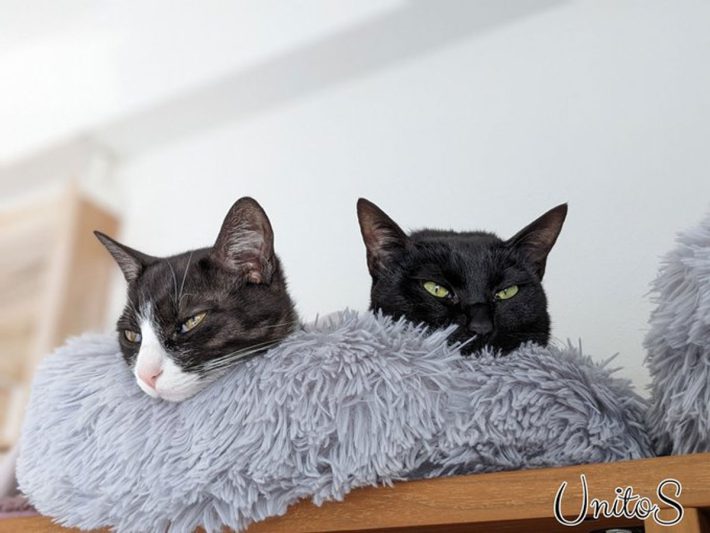 すみれちゃん・うにちゃん