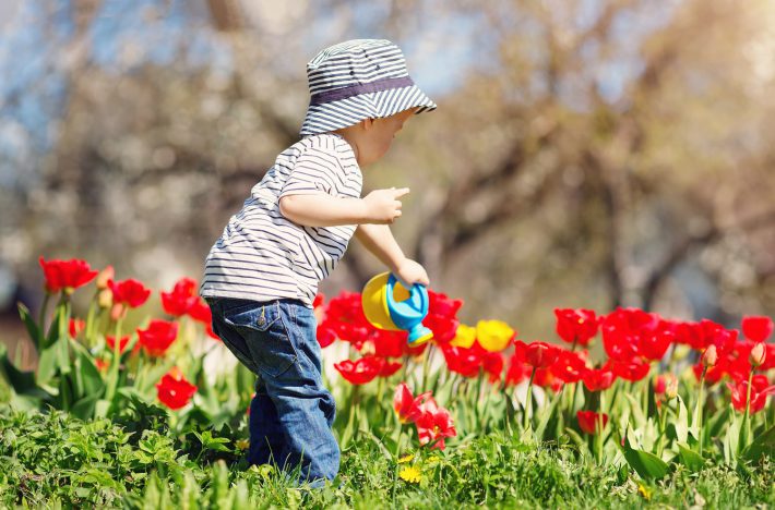 公園で花の世話をする子ども