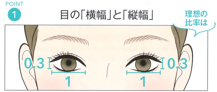 目の横幅と縦幅