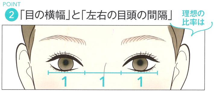 目の横幅と左右の間隔