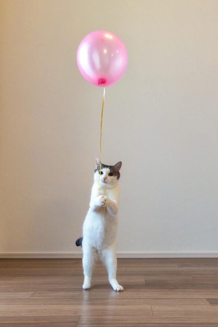 風船を持ってこちらを見つめる（写真はすべて小野一俊さんによる提供）