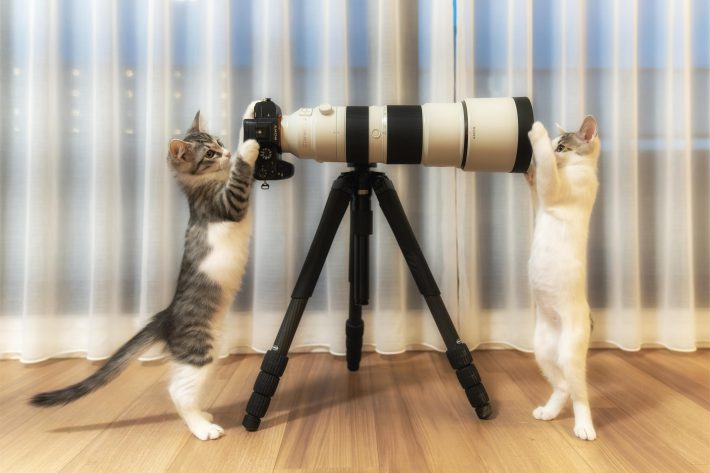 左側のウミちゃんがファインダーのちっちゃい穴を、右側のジン君がレンズフードの大きい穴を覗こうとする瞬間