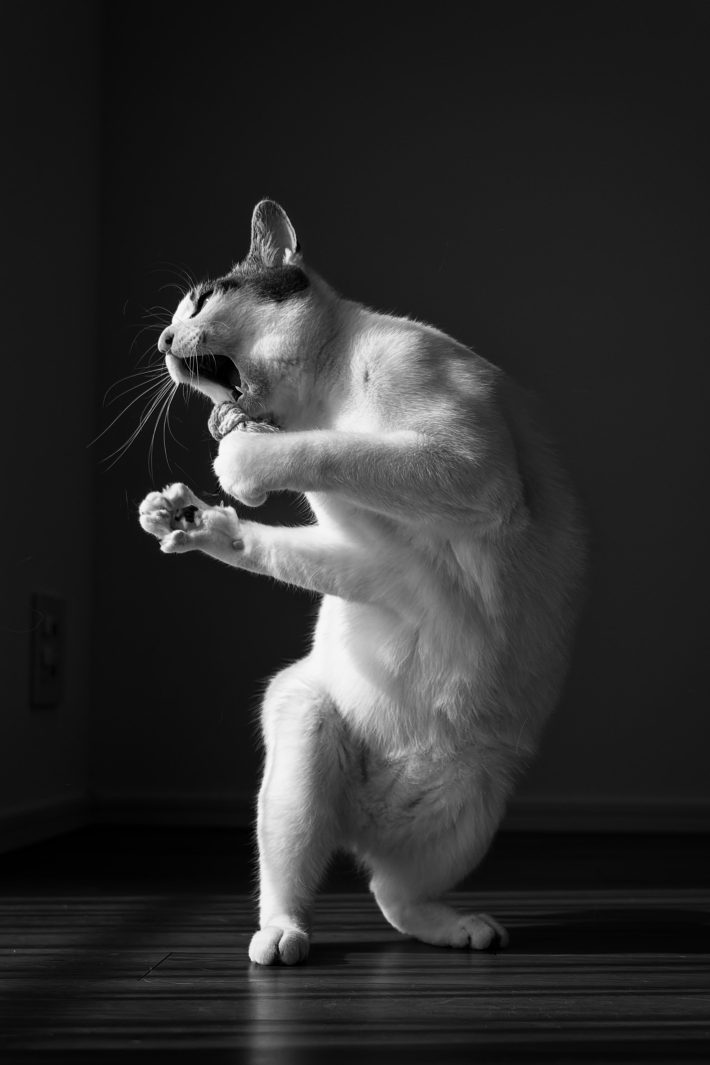 『ロックスター』